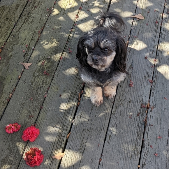 Closet Info - Picture 7 of 7